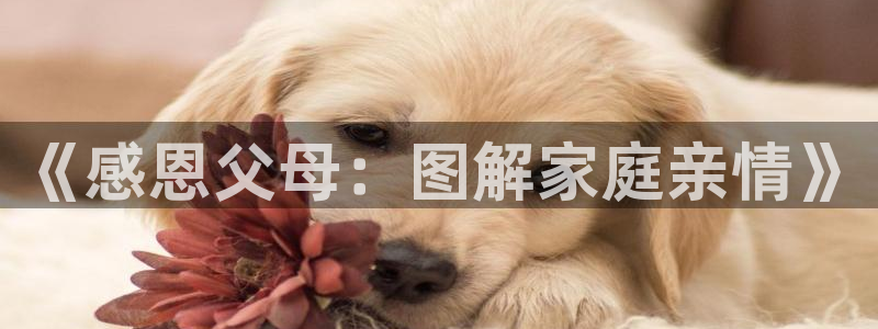 漫蛙正版官方入口：《感恩父母：图解家庭亲情》