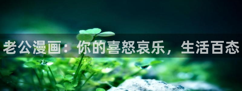 漫蛙最新网页：老公漫画：你的喜怒哀乐，生活百态