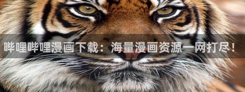 漫蛙漫画(网页入口)官网：哔哩哔哩漫画下载：海量漫画资源一网打尽！