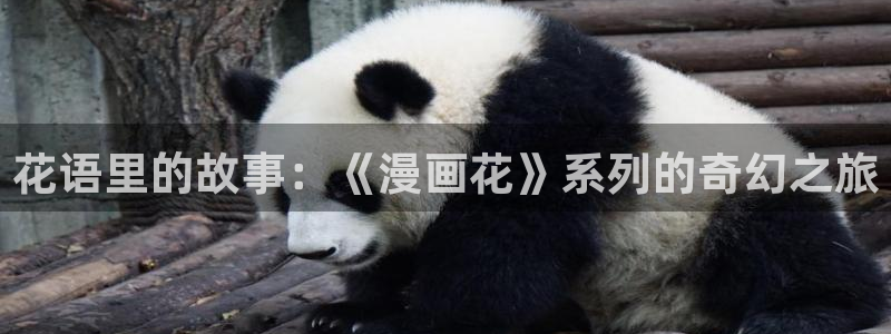 无根之树漫画漫蛙