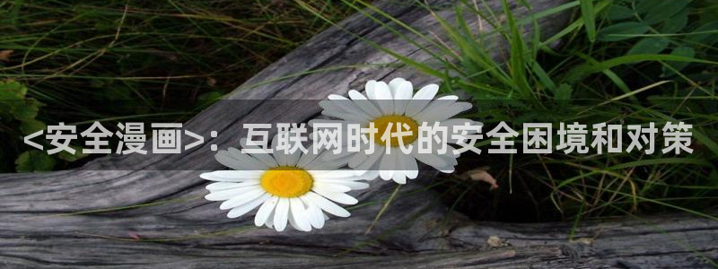 漫蛙2下载最新版本：<安全漫画>：互联网时代的安全困境和对策