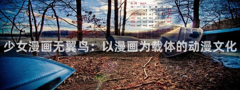 枯萎之花上的眼泪漫蛙：少女漫画无翼鸟：以漫画为载体的动漫文化