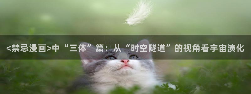 漫蛙好看的漫画：<禁忌漫画>中“三体”篇：从“时空隧道”的视角看宇宙演化