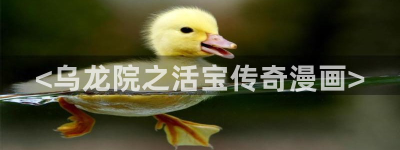 漫蛙ios怎么安装：<乌龙院之活宝传奇漫画>