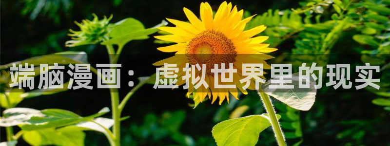 漫蛙manwa官网版链接：端脑漫画：虚拟世界里的现实